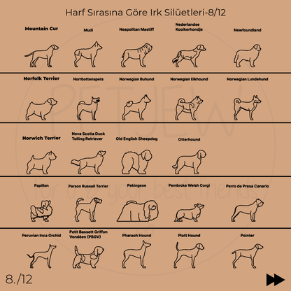 Köpek Silüeti Bilekliği - 925 Ayar Gümüş